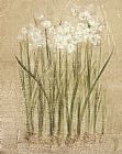 Cheri Blum Narcissus painting